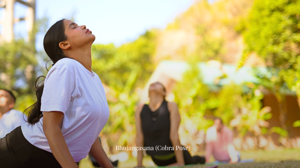 Yoga is an important aspect of classical Ayurvedic treatment for Arthritis at Vaidyaratnam Vrindavan Ayurveda Chikitsalayam 