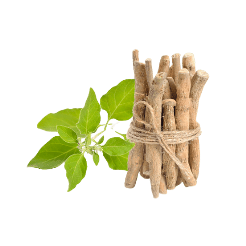 Best Ayurvedic Treatment for Arthritis