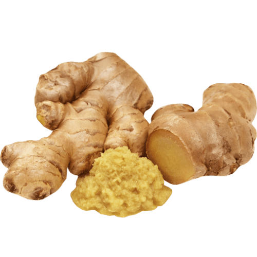 Best Ayurvedic Treatment for Arthritis