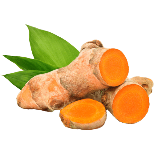 Best Ayurvedic Treatment for Arthritis