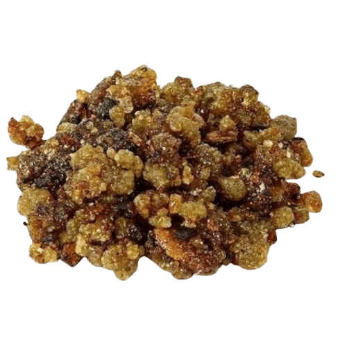 Best Ayurvedic Treatment for Arthritis