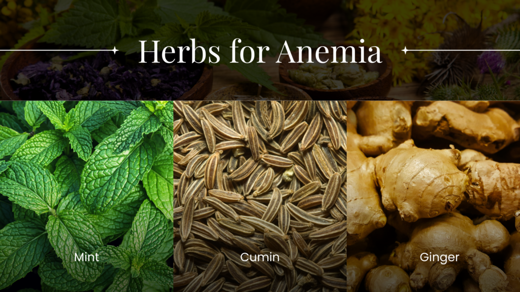 Mint, cumin, ginger, amalaki, are some of the herbs that are excellent anemia home remedies