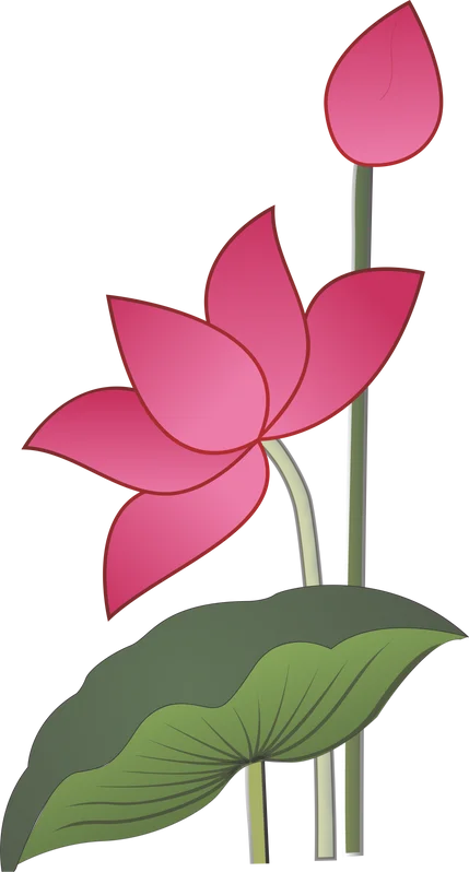 Lotus Image Vacc