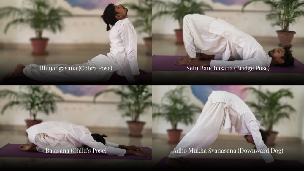 Cobra pose, Bridge pose, Child pose, and Downward Dog pose are some of the yoga asanas are included in ayurvedic treatment for Back pain and spine