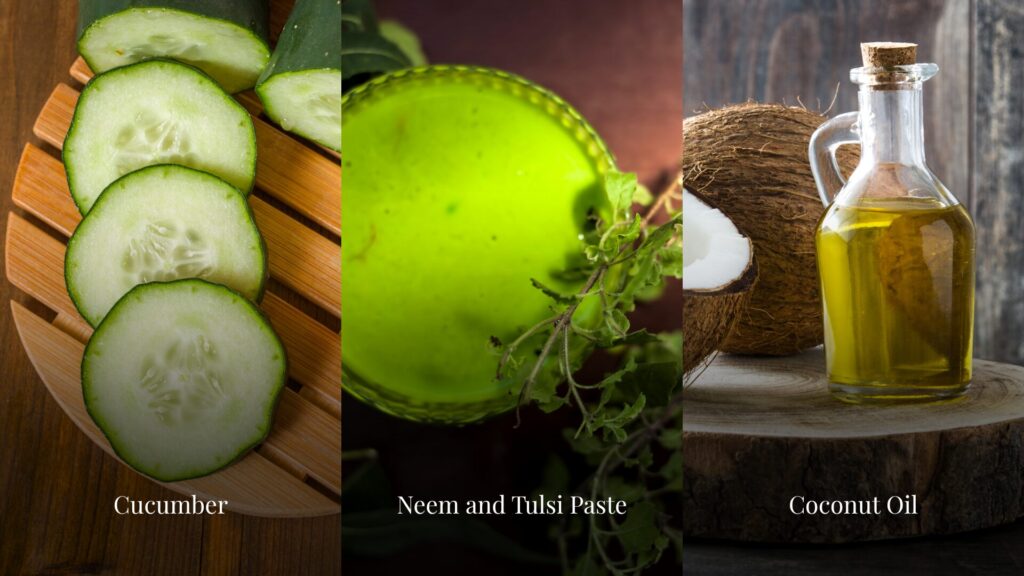 Neem, tulsi, coconut oil, cucumber, and more are some of the ayurveda skin care ingredients